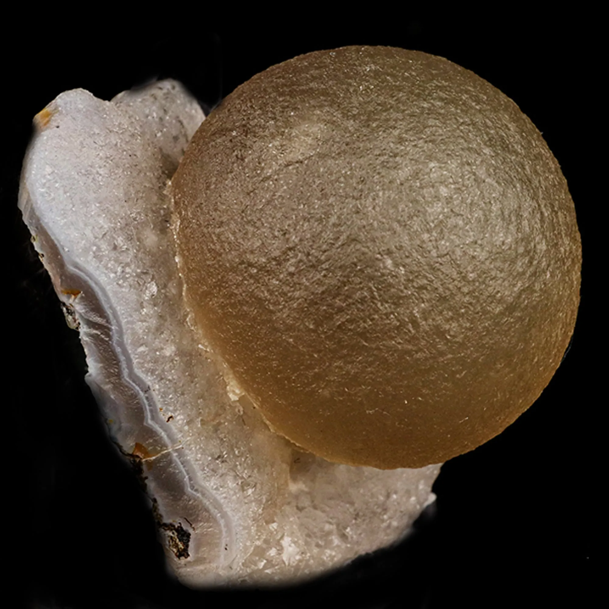 Fluorite Huge balls on MM Quartz Natural Mineral Specimen - image 3