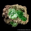 Fluorite in Pyrite (Pocket) - image 4