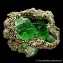 Fluorite in Pyrite (Pocket) - image 1