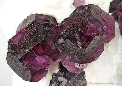 Fluorite in Quartz - image 2