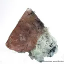 Fluorite Included By Schorl, on Albite - image 2