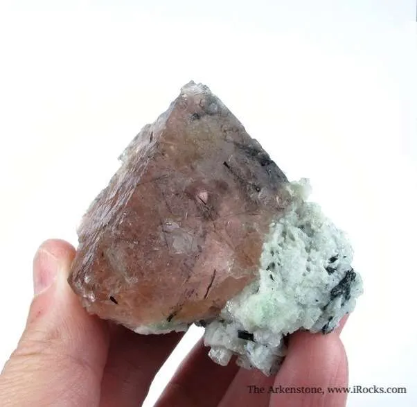 Fluorite Included By Schorl, on Albite - image 4