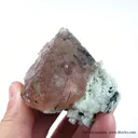 Fluorite Included By Schorl, on Albite - image 4