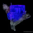 Fluorite included with Bismuthinite on Quartz - image 5