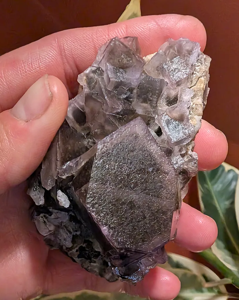 Fluorite, likely attributed to Cave-in-Rock, IL, USA - image 3
