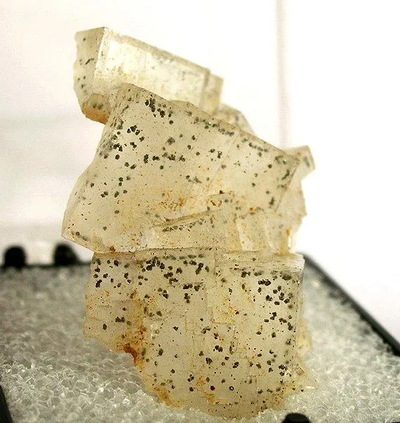 Fluorite, Marcasite image