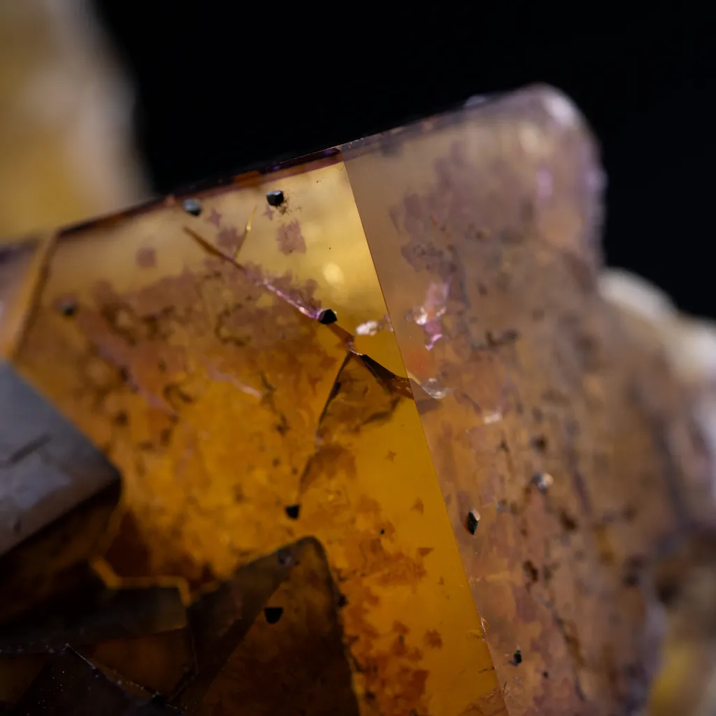 Fluorite - Minerva 1 M. image