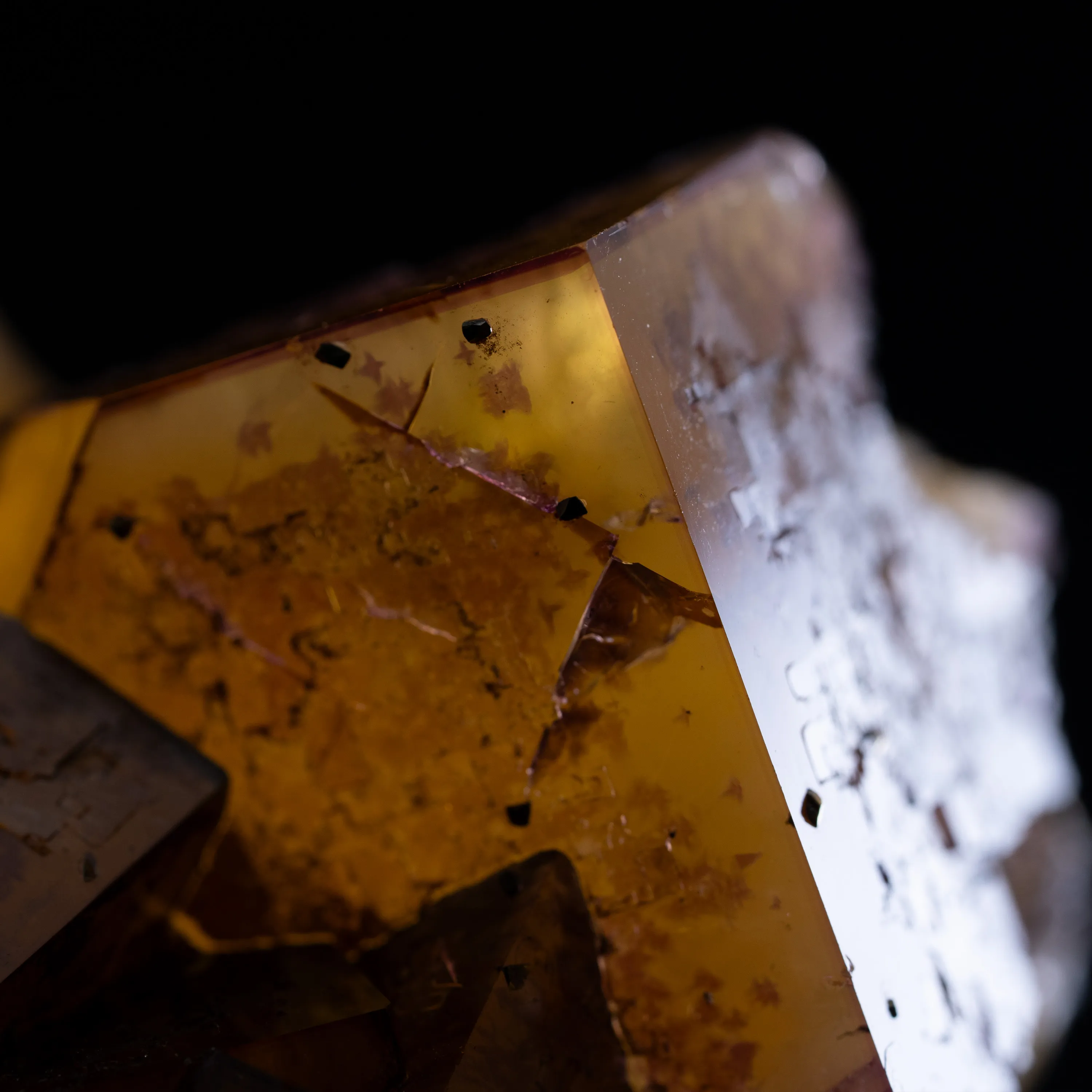 Fluorite -  Minerva 1 M. - image 7