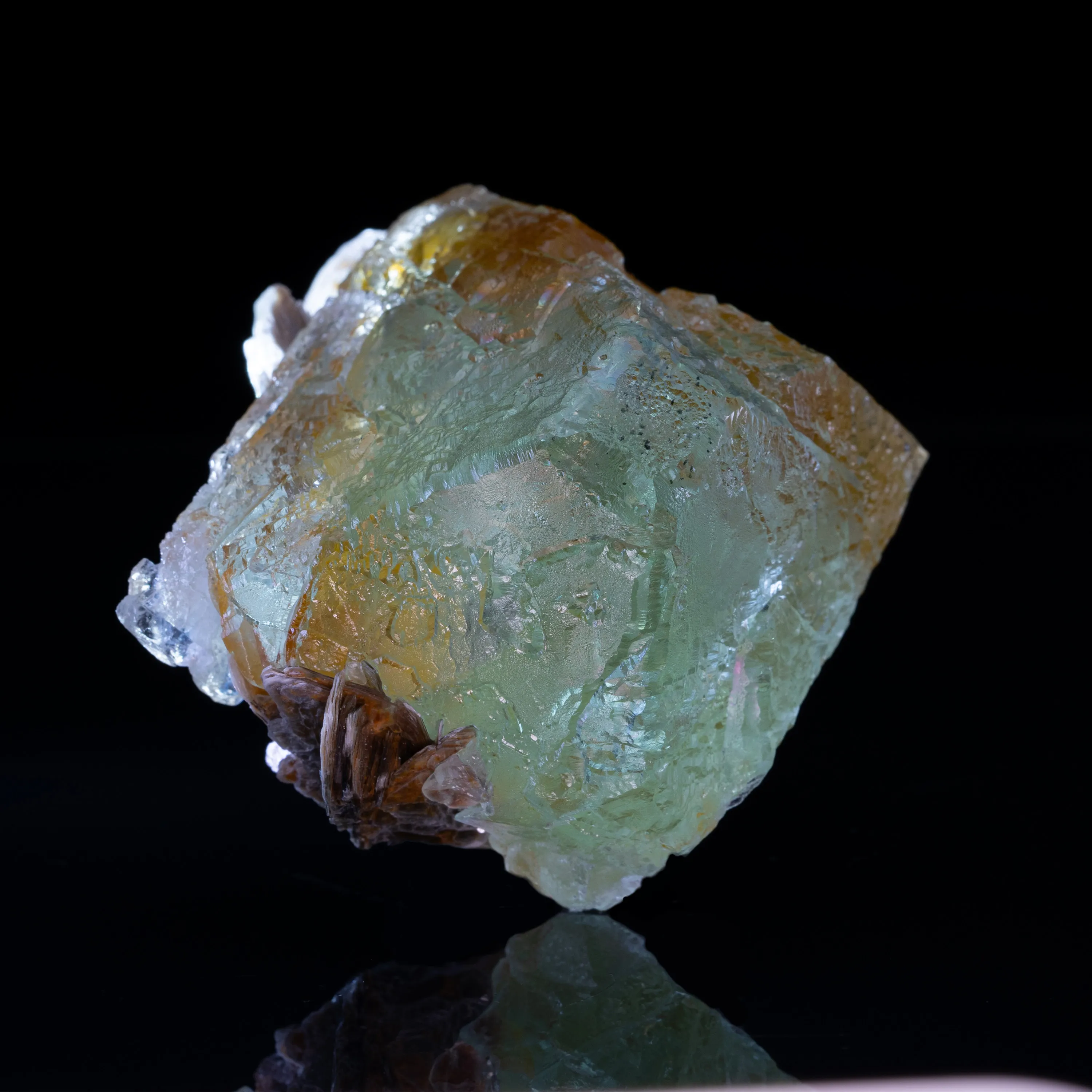 Fluorite, Muscovite from Pakistan, Gilgit-Baltistan, Nagar District, Chumar Bakhoor - image 3