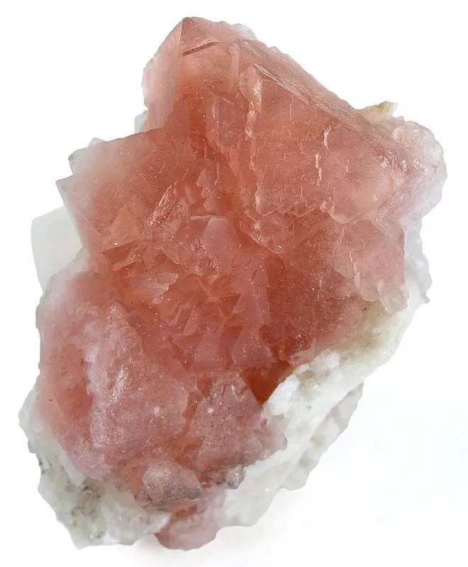 Fluorite on Adularia image