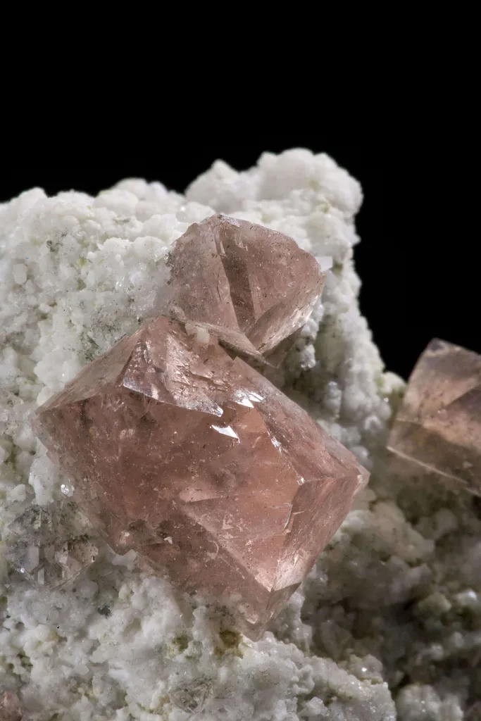 Fluorite on Adularia image