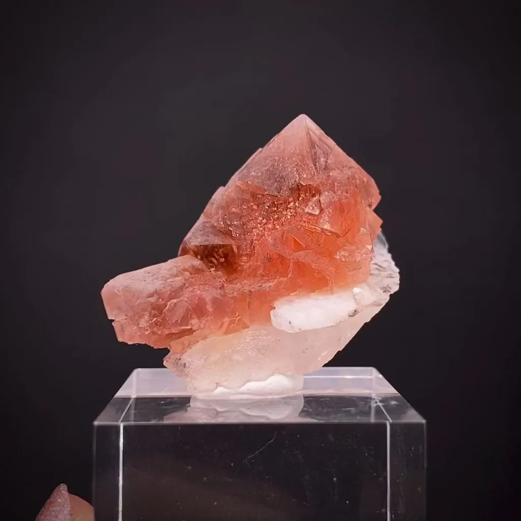 Fluorite on Adularia image