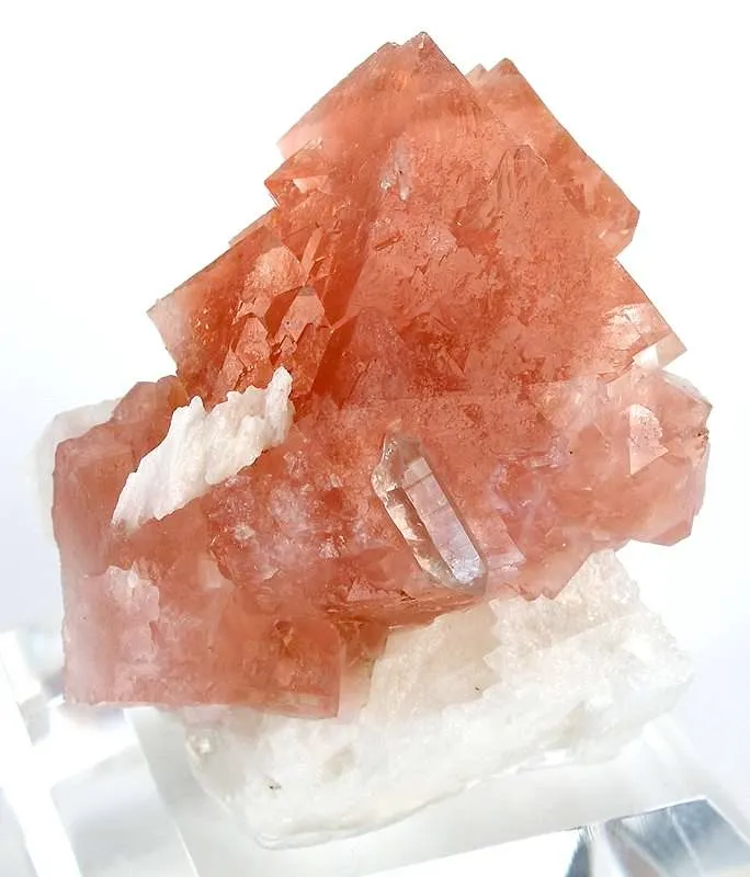 Fluorite on Adularia image
