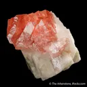 Fluorite on Albite - image 1