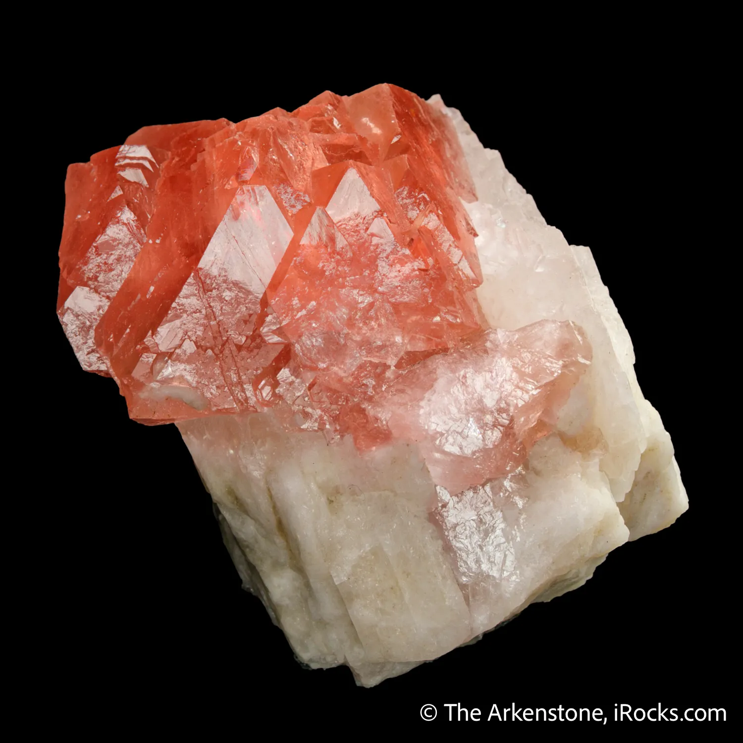 Fluorite on Albite - image 1