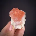 Fluorite on Albite - image 2