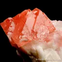 Fluorite on Albite - image 4