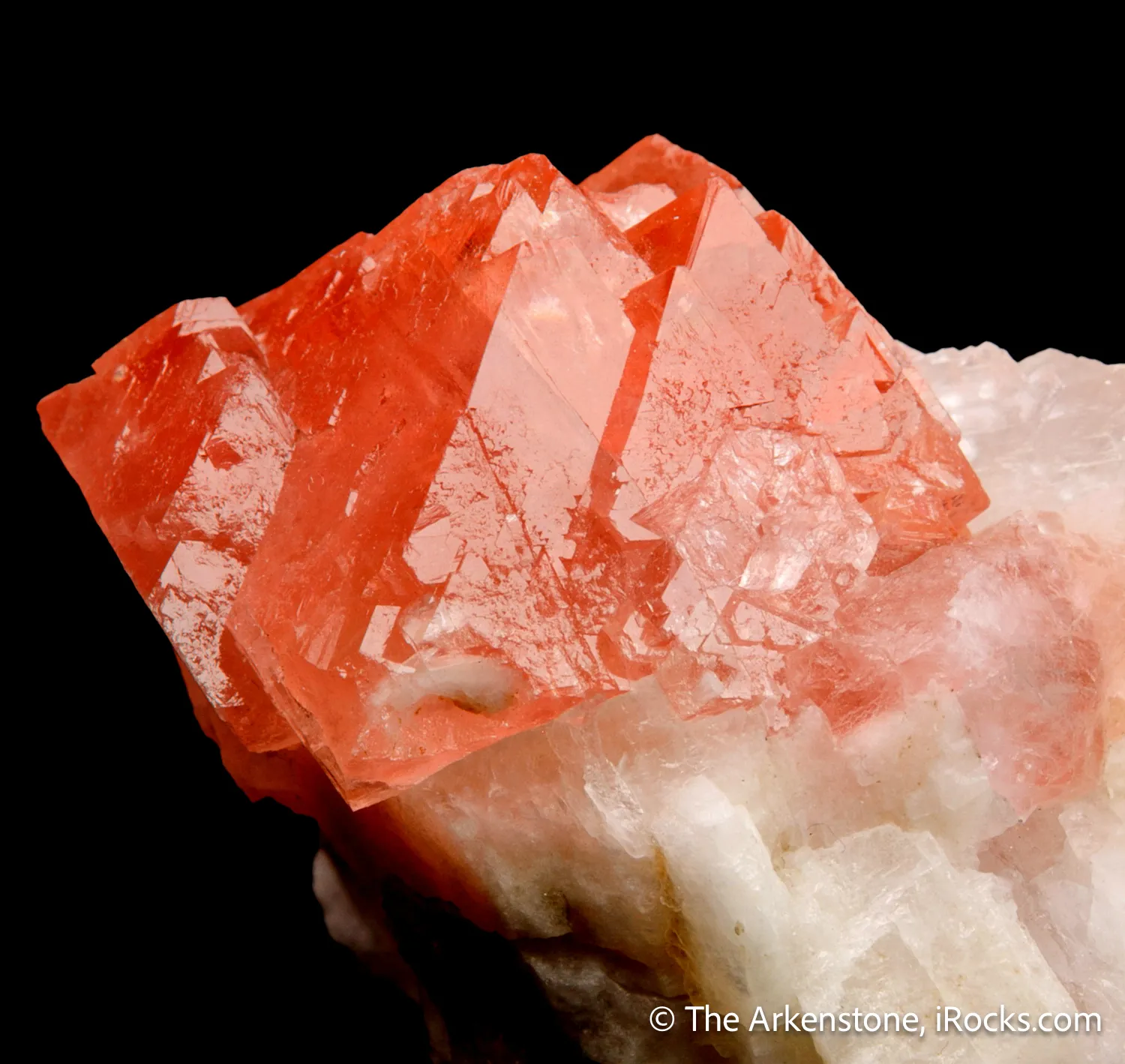 Fluorite on Albite - image 4