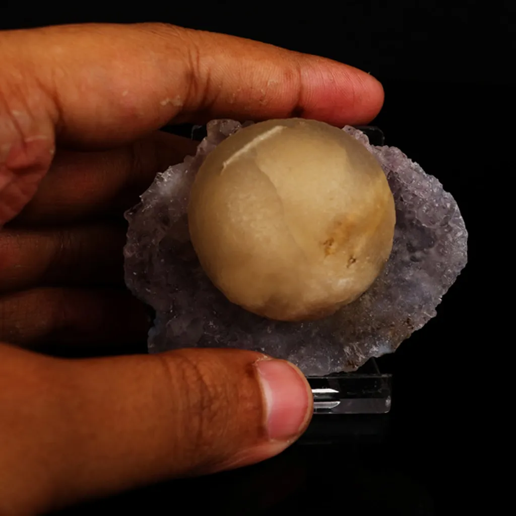 Fluorite on Amethyst Natural Mineral Specimen - image 5