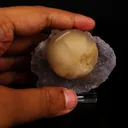 Fluorite on Amethyst Natural Mineral Specimen - image 5