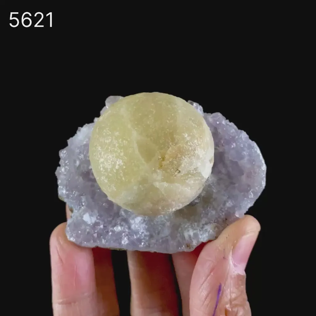 Fluorite on Amethyst Natural Mineral Specimen - image 2
