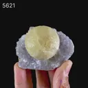 Fluorite on Amethyst Natural Mineral Specimen - image 2