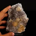 Fluorite on Amethyst Natural Mineral Specimen - image 4