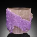 Fluorite on Apatite - image 3