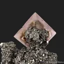 Fluorite on Arsenopyrite - image 3