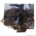 Fluorite on Baryte - image 3