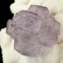 Fluorite on Calcite - image 3
