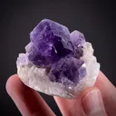 Fluorite on Calcite - image 1