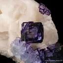 Fluorite on Calcite (1974 pocket) - image 5