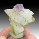 Fluorite on Calcite - image 1