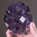 Fluorite on Calcite - image 2