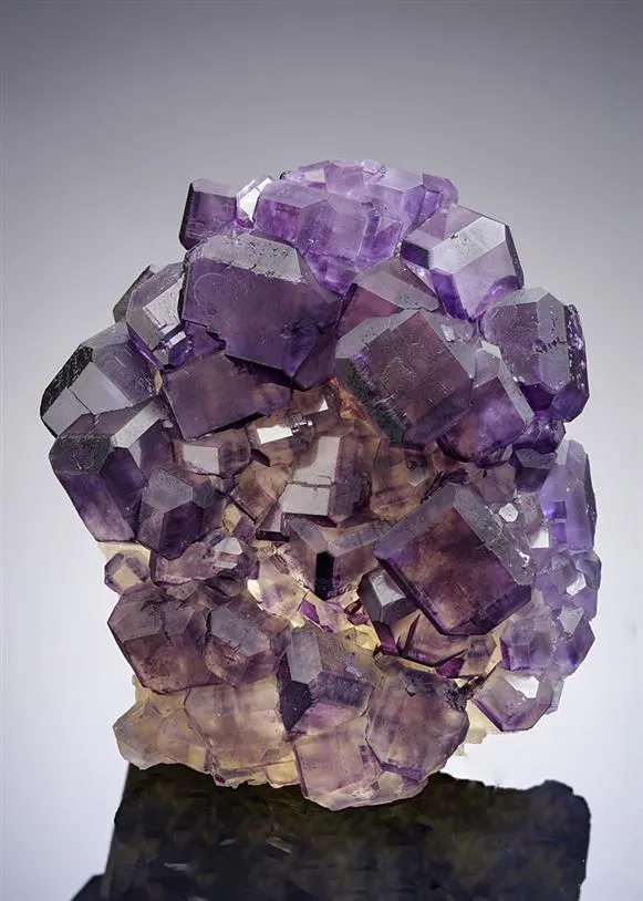 Fluorite on Calcite image