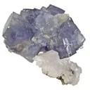 Fluorite on Calcite - image 1
