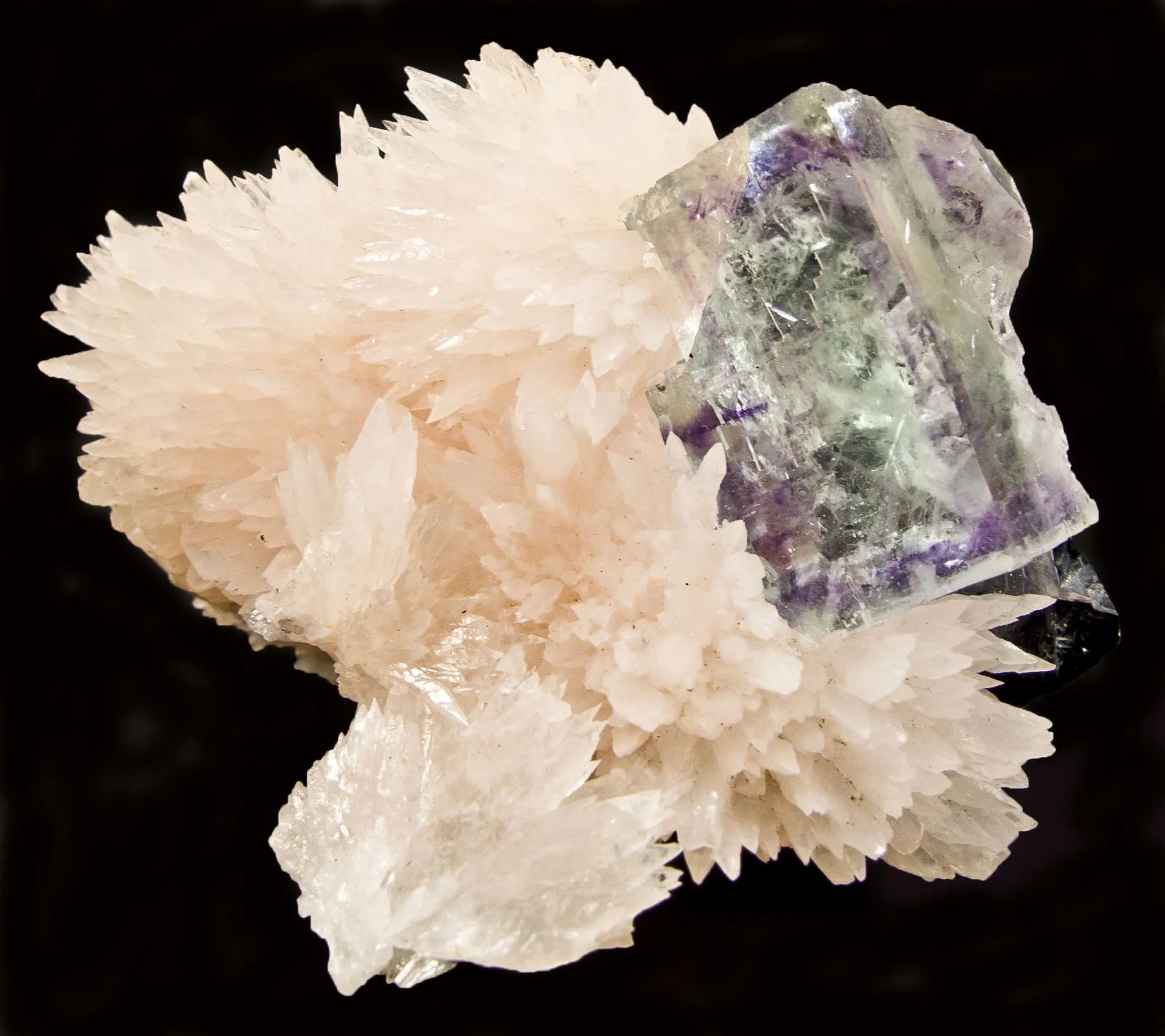 Fluorite on Calcite - image 3