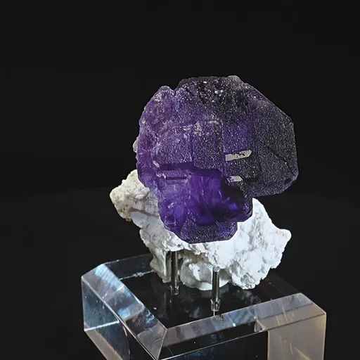 specimen video