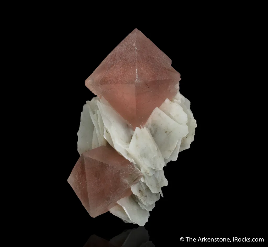 Fluorite on Calcite image