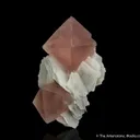 Fluorite on Calcite - image 1