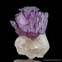 Fluorite on Calcite - image 3