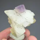 Fluorite on Calcite - image 2