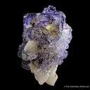 Fluorite on Calcite - image 3