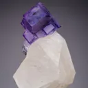 Fluorite on Calcite - image 1