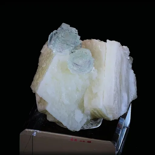 specimen video