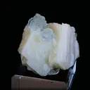 specimen video