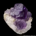 Fluorite on Calcite - image 5