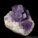 Fluorite on Calcite - image 7