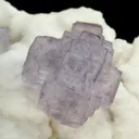 Fluorite on Calcite - image 2